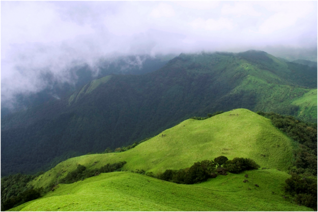 Coorg Landscape