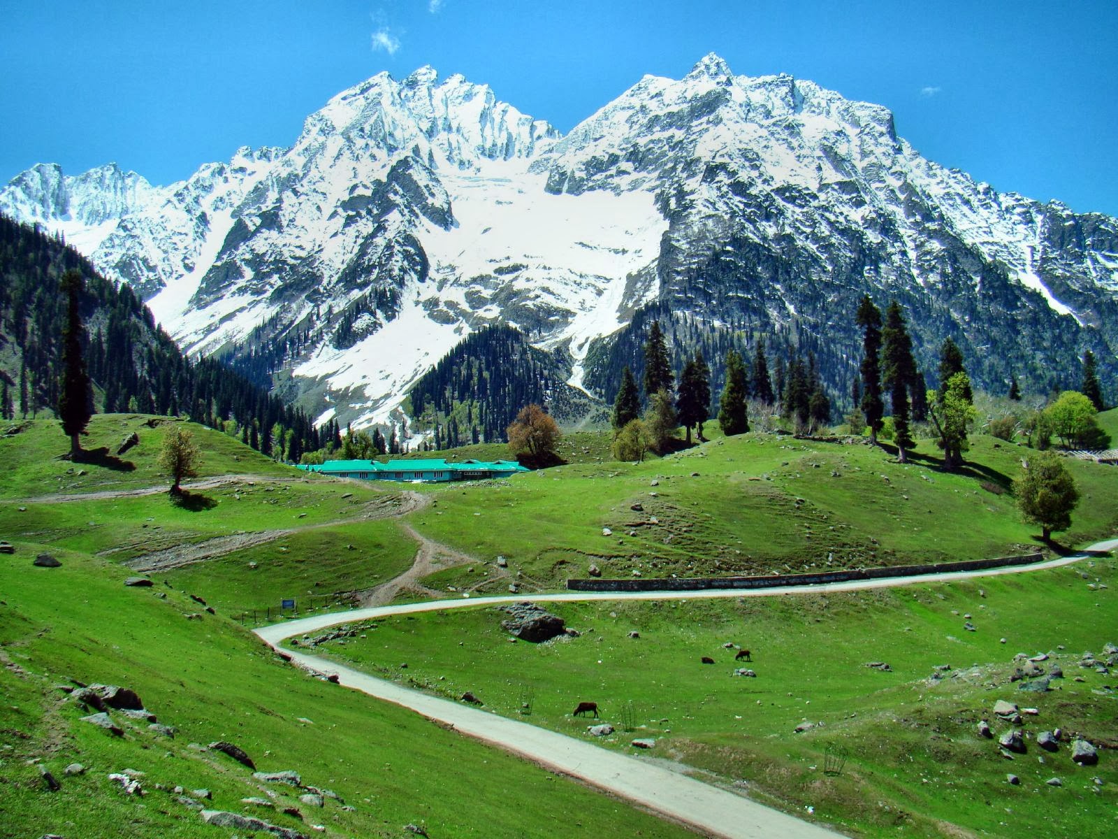 Kashmir - Paradise on Earth