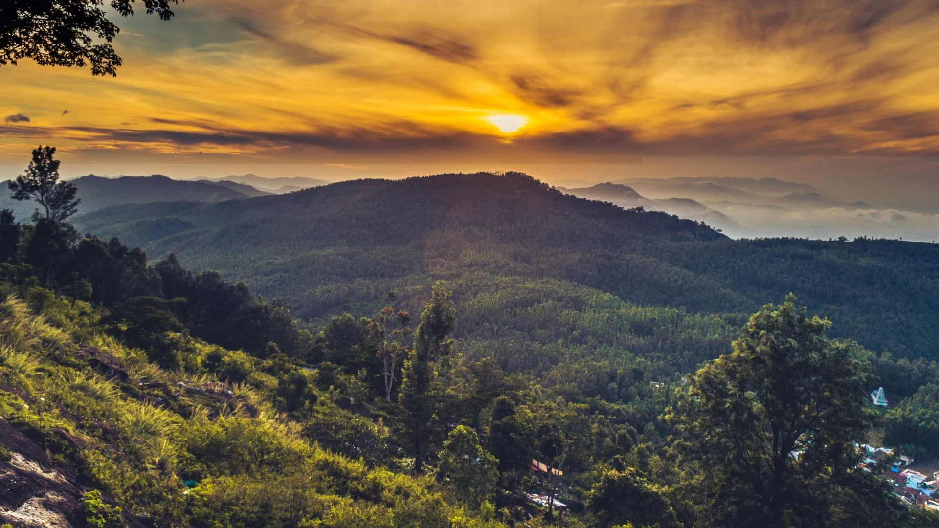Yercaud Hills